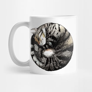 Tranquil Cat Sleeps in a Circle Mug